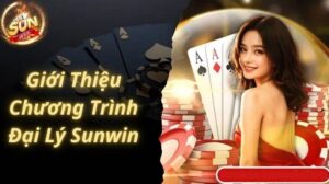 Vai trò Đại lý Sunwin
